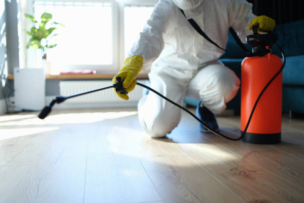 Reliable Odor Removal contractor in Thousand Palms, CA by Trauma Clean Pros